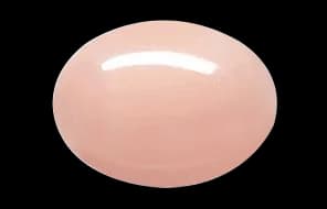 Angel Skin Coral