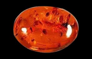 Brown Amber
