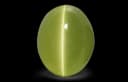 Cats Eye