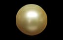 Golden Pearl