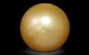 Golden South Sea Pearls