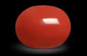 Italy Oval Red Coral