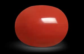 Italy Oval Red Coral