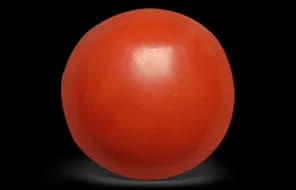 Italy Round Red Coral