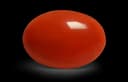 Japan Oval Red Coral