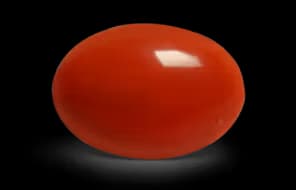 Japan Oval Red Coral