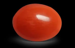 Japanese Red Coral