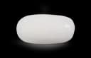 Japanese White Coral