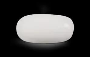 Japanese White Coral