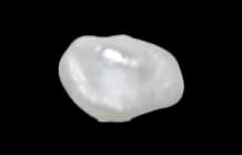 Keshi Pearls