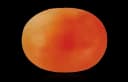 Orange Onyx