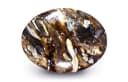 Petrified Wood