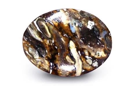Petrified Wood