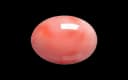 Pink Coral