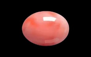 Pink Coral