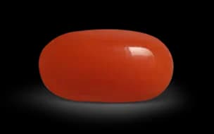 Red Coral