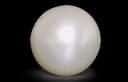 White South Sea Pearls