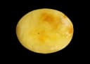 Yellow Amber