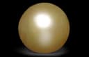 Yellow Pearl