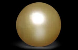 Yellow Pearl
