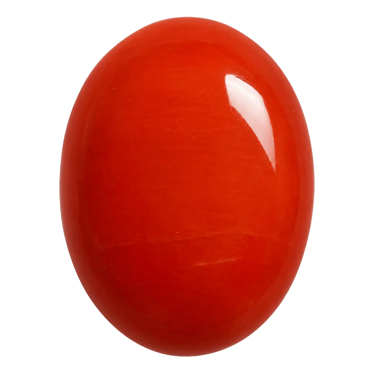 Italian Red Coral